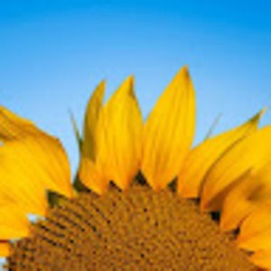 Meet your Posher, Katlin